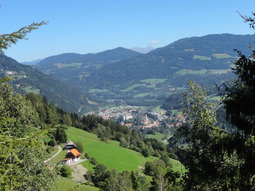 Die Petzl Huette - Kreischbergblick Kaindorf  ภายนอก รูปภาพ